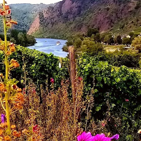 Mosel *