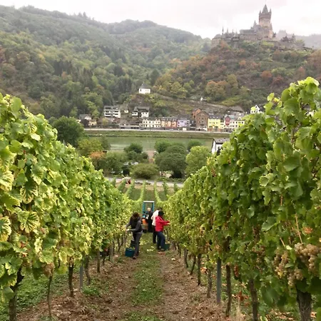 Mosel *