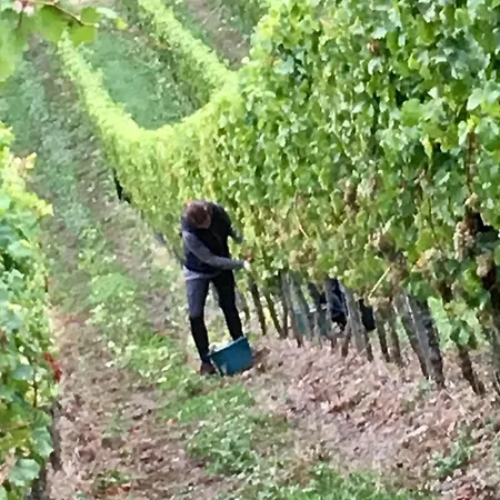 Appartement Mosel Valwig