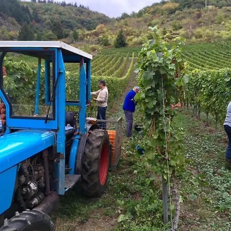 Apartmán Mosel *