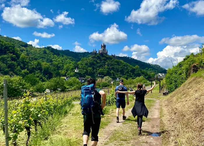 Mosel アパート ヴァルヴィヒ